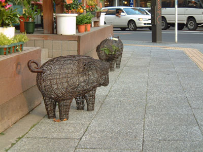 c0050264_234499.jpg