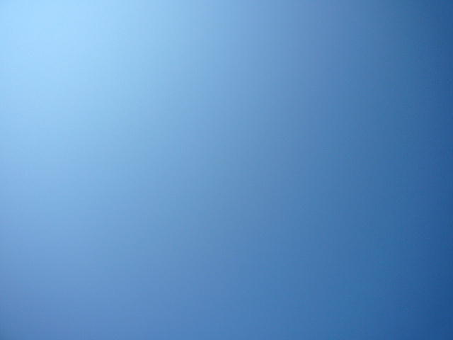f0057565_1537849.jpg