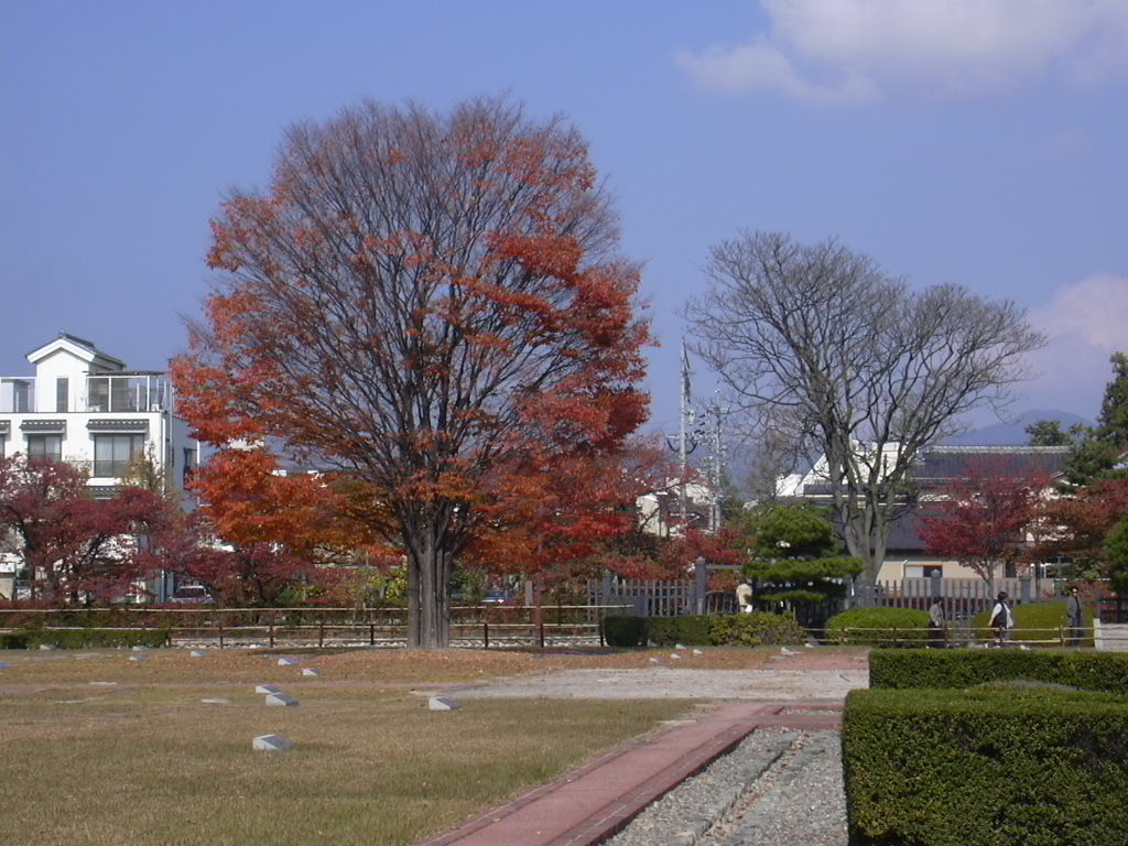 d0048366_22171749.jpg
