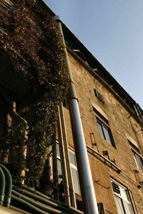d0079373_23435082.jpg