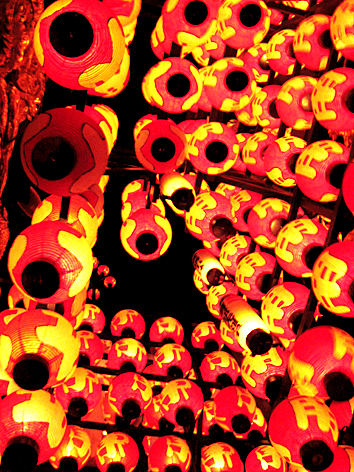 f0070779_2051517.jpg