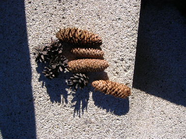 f0035283_19153289.jpg
