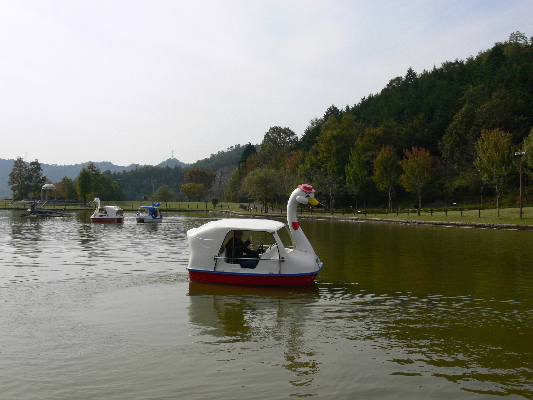 f0103688_2054473.jpg
