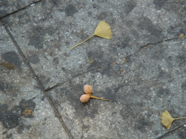 f0091590_219852.jpg