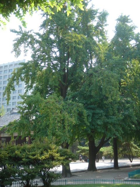 f0091590_232443.jpg