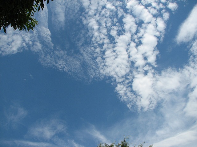 e0029692_2305145.jpg