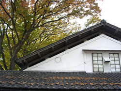 e0013399_20194856.jpg
