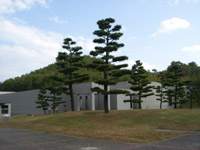 e0013399_20212631.jpg