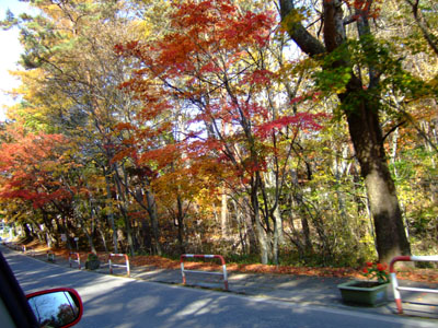 a0042501_23492524.jpg