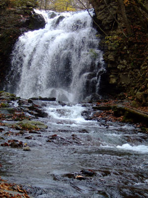 a0042501_23584164.jpg