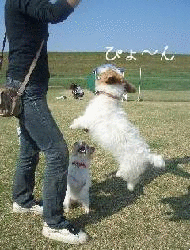 a0051402_0305392.gif
