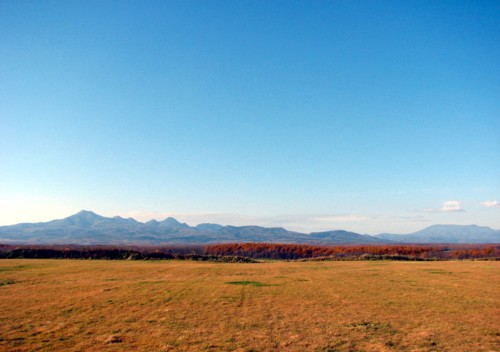 f0020302_1236770.jpg