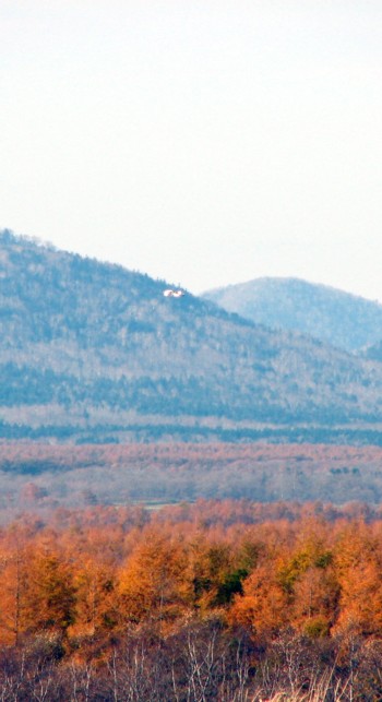 f0020302_12381678.jpg