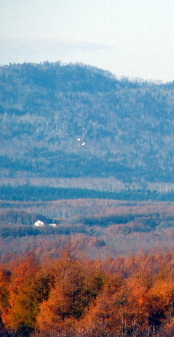 f0020302_12383277.jpg
