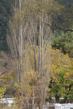 f0034602_17203562.jpg