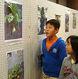 d0040314_23461330.jpg