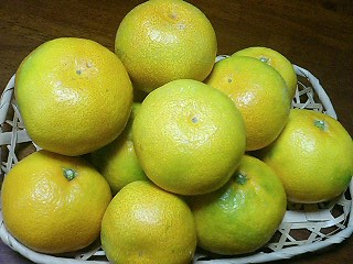 e0026017_014354.jpg