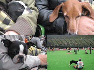e0080117_23513292.gif
