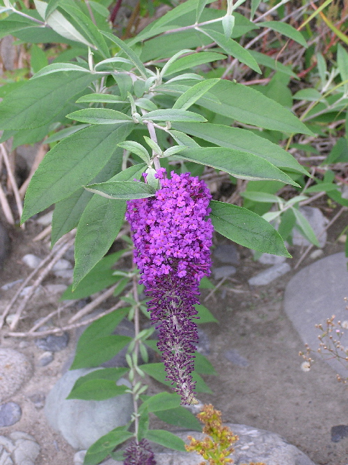 f0103126_19174790.jpg