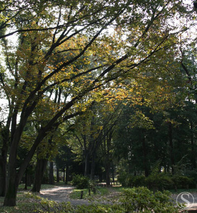 e0021328_23575339.jpg