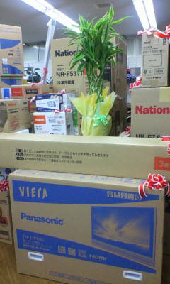 f0071731_1815341.jpg