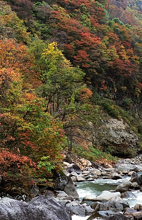 d0001533_14165567.jpg