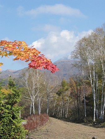 d0001533_14432560.jpg