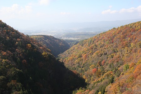 d0001533_14564546.jpg