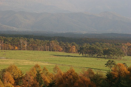 d0001533_14575983.jpg