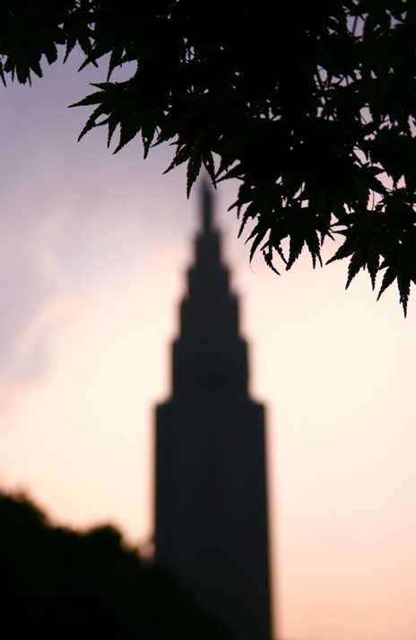 b0063234_19513321.jpg