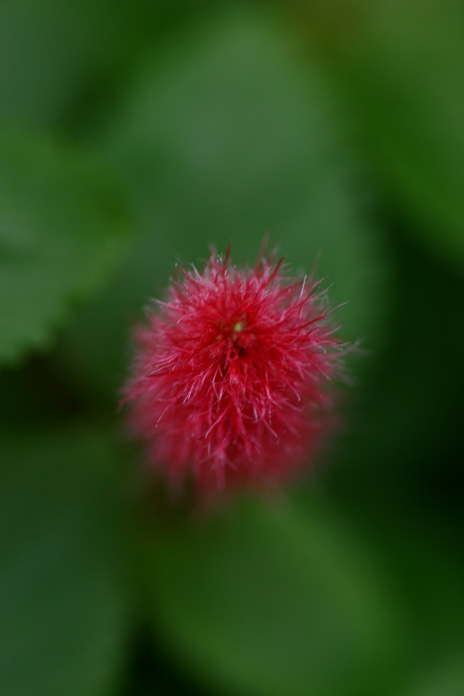 b0063234_2065393.jpg