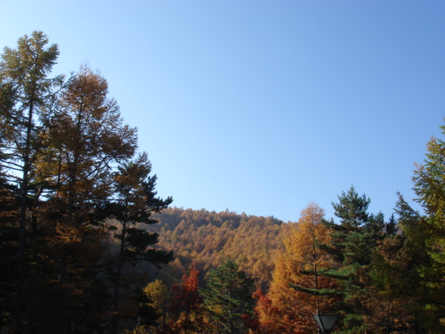 a0014840_215023100.jpg