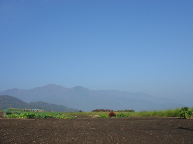 a0014840_2151839.jpg
