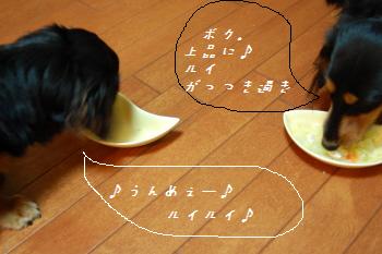 d0052442_2225124.jpg