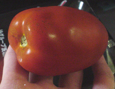 c0006445_21454734.jpg