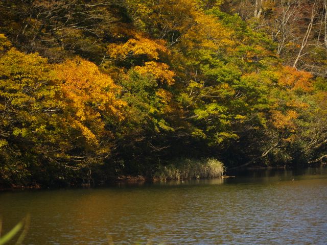 c0066245_2173352.jpg