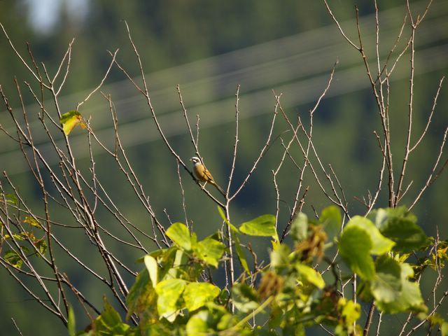 c0066245_2185849.jpg