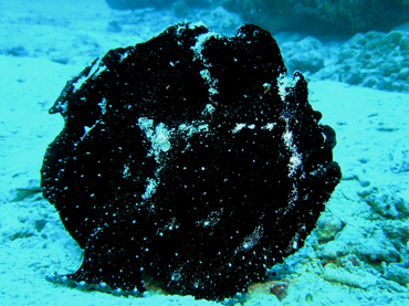 d0065247_18212436.jpg