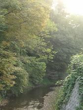 e0022948_1916196.jpg