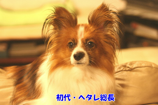 d0013149_0503289.jpg