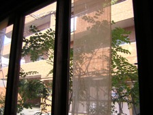 c0081552_22223610.jpg