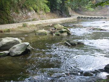 b0103668_075350.jpg