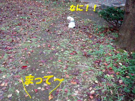 b0060071_1464876.jpg