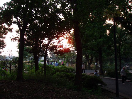 b0060071_1495246.jpg
