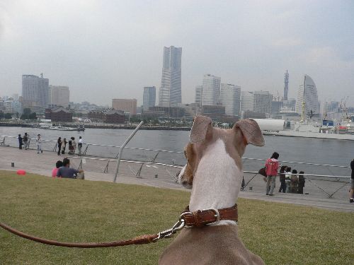 e0062371_234431.jpg