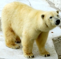 b0100489_2110071.jpg