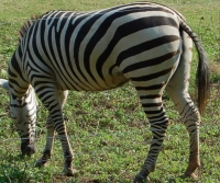 b0100489_21105987.jpg