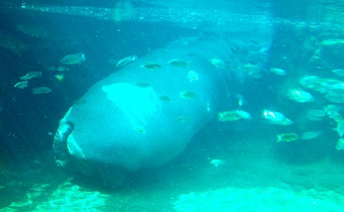 b0100489_21763.jpg
