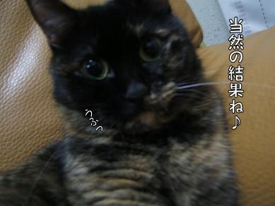 a0045990_23515592.jpg