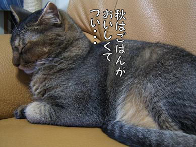 a0045990_23542037.jpg